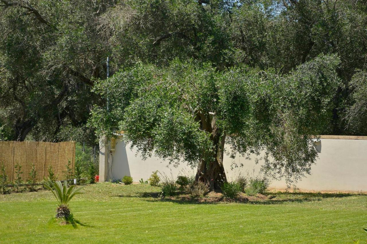 La Casa Del Sole Villa Halikounas Exterior photo